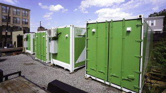 在廚房里種上菜,想吃就薅一點,想想就很開心