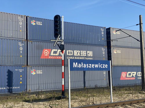 一帶一路 故事 全球連線丨一班東方列車載來的發展機遇